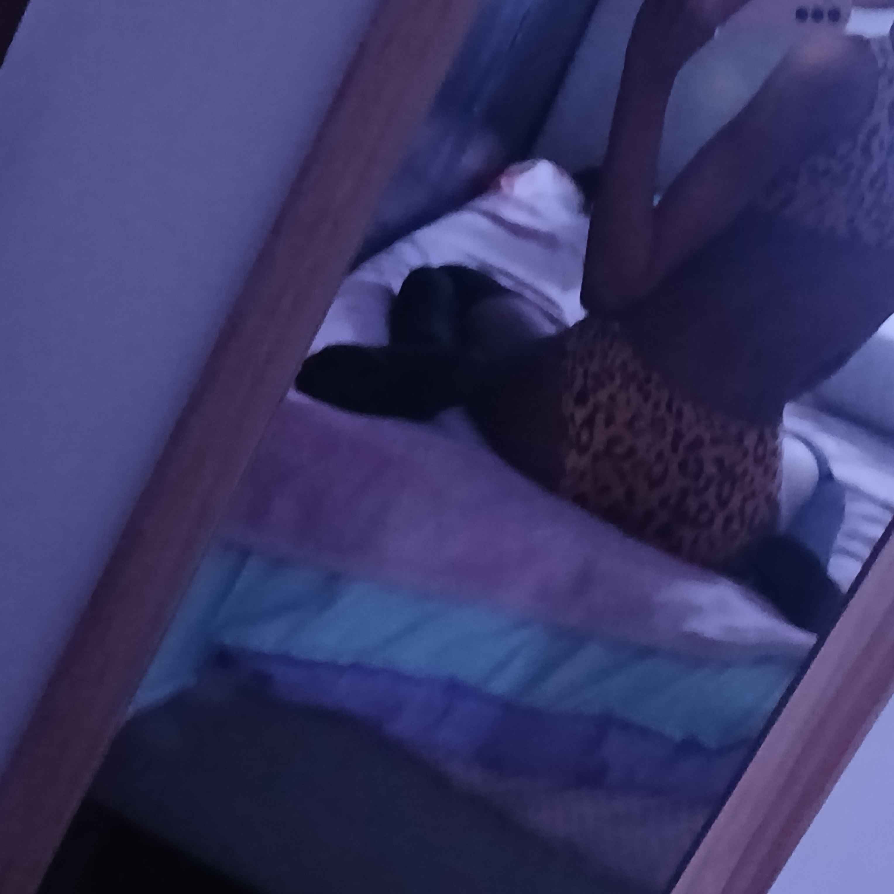 mirror selfie